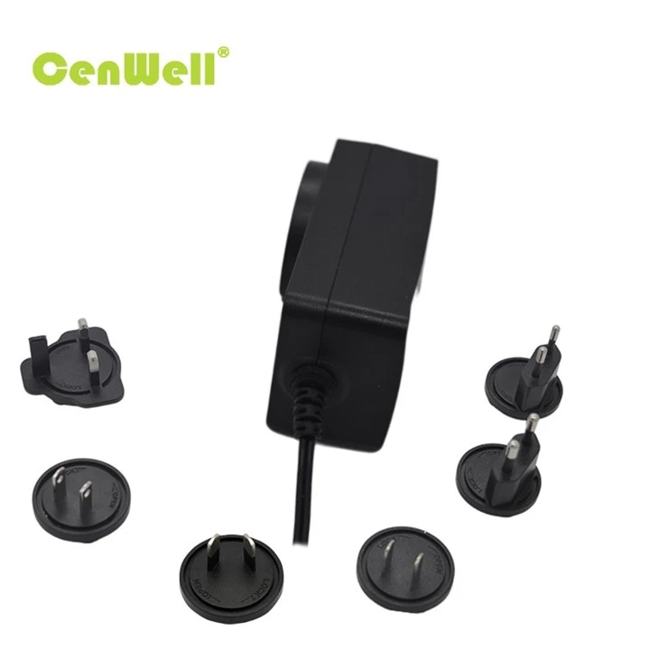 48w Interchangeable Power Adapter 005